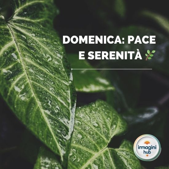 Immagine che trasmette pace e serenità, con elementi naturali e colori tenui che evocano tranquillità.