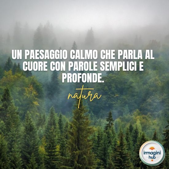 Citazioni ispiratrici su vita, amore e felicità scritte su un sfondo colorato.