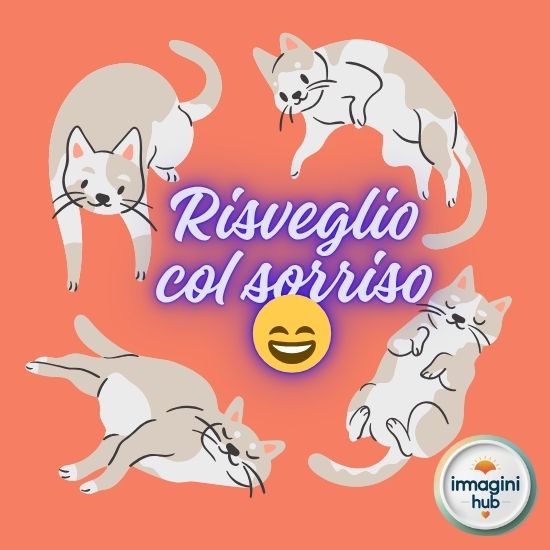 Risveglio sereno con un sorriso, rappresentando gioia e positività in un ambiente luminoso e accogliente.