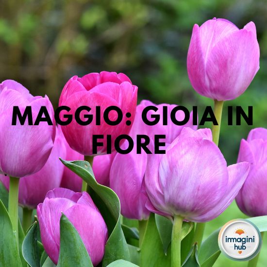 Maggio gioca tra i fiori colorati, immerso nella bellezza della primavera.