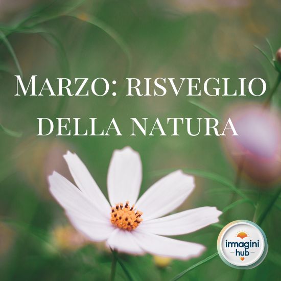 Immagine di un paesaggio primaverile con fiori colorati e alberi in fiore, rappresentando la rinascita della natura.
