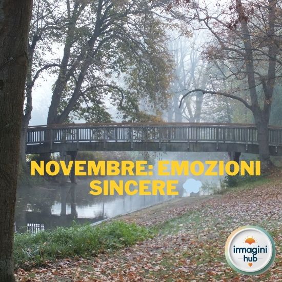 Immagine che evoca emozioni sincere legate al mese di novembre, con colori caldi e atmosfere autunnali.