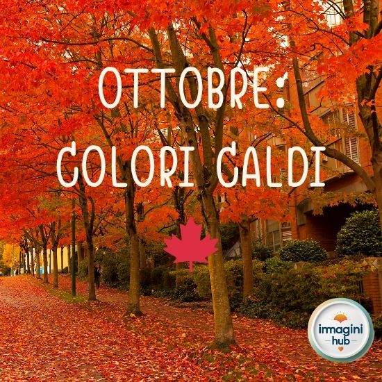 Colori Galdi - ottobre, un'immagine vibrante che mostra una gamma di colori autunnali.
