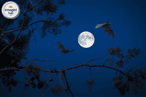 Notte serena con luna brillante nel cielo
